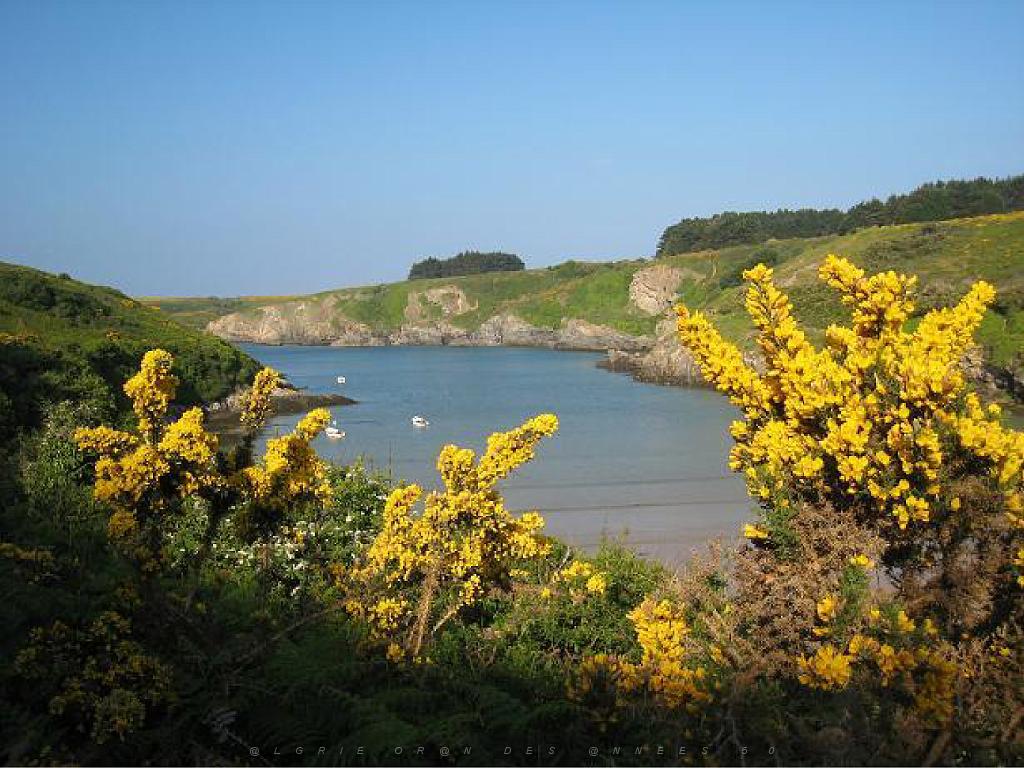 156 BELLE ILE EN MER BANGOR_000016.jpg